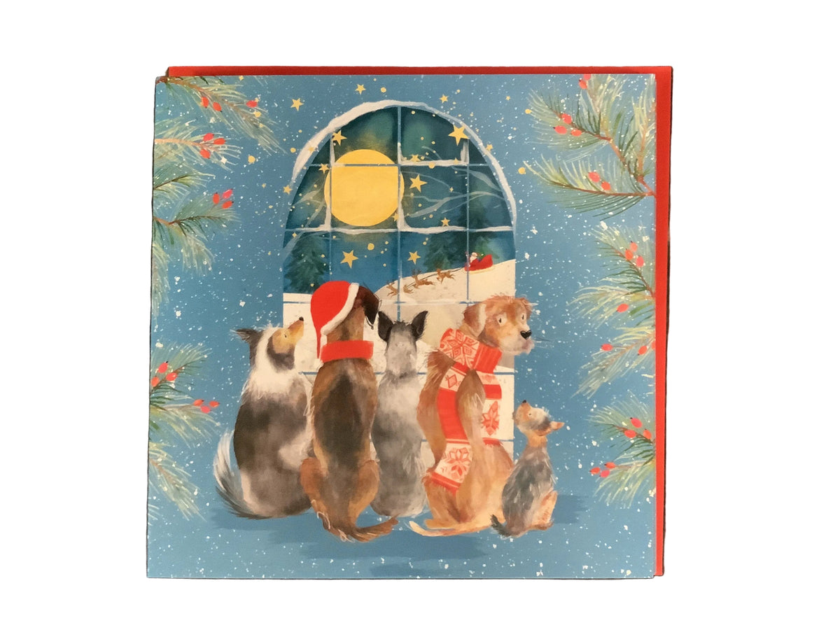 Festive Dogs - 6 pack of Charity Christmas cards