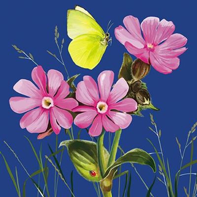 Pink flower heads - blank greetings card