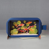 Koi carp - Message in a Bottle pop-up card