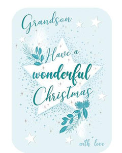 Grandson Have a wonderful Christmas card