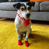 Dog Christmas Non-slip socks