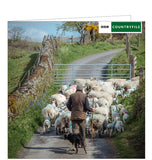 This greetings card from the BBC Country file card range is decorated with a photograph by Amy Bateman showing a shepherd and his dog herding a flock of sheep on a lane outside Kendal, Cumbria.