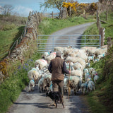 Sheep & Shepherd in Kendal - Countryfile greetings card