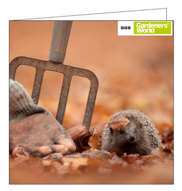 This greetings card from the BBC Gardeners' World card range features a photograph by Edwin Kats of a tiny little hedgehog snuffling over a carpet of autumn leaves - with one leaf stuck to his prickles.