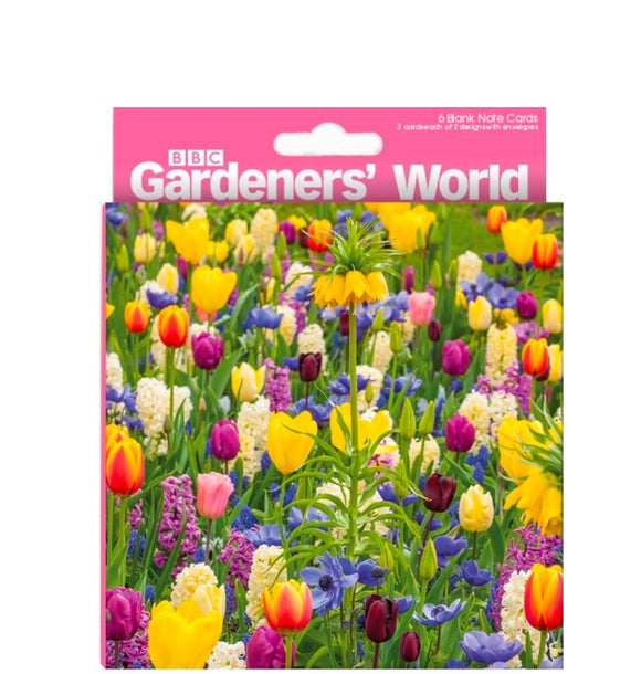 This pack of six blank notelets from Abacus cards licensed BBC Gardeners World range contains three notecards each of two different photographs featuring colourful tulips at Forde Abbey.