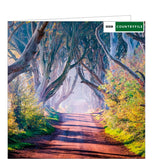This blank card from the BBC Countryfile greetings card range features a fabulous photograph of the beech tree tunnel known as the Dark Hedges in County Antrim.