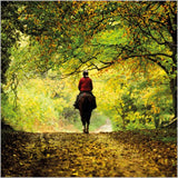 Horse rider - BBC Countryfile greetings card