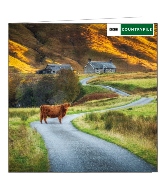 This blank card from the BBC Countryfile range features a photograph of a highland cow standing in the middle of the road amongst the amazing scenery of Glen Lyon, Scottish Highlands.