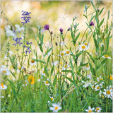 Wildflower meadow - BBC Gardeners' World greetings card