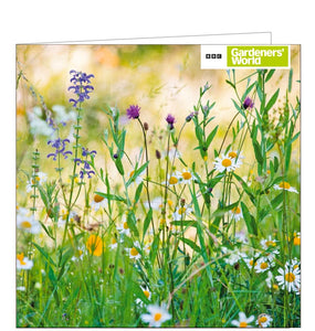 This blank card from the BBC Gardeners' World range features a photograph of a meadow filled with wildflowers.