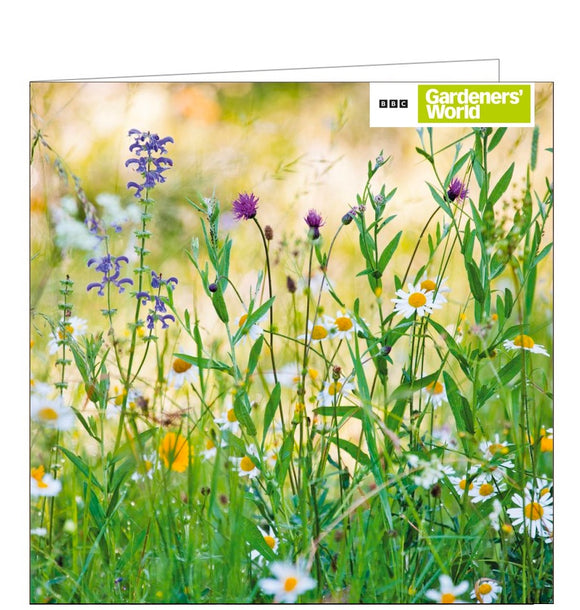 This blank card from the BBC Gardeners' World range features a photograph of a meadow filled with wildflowers.