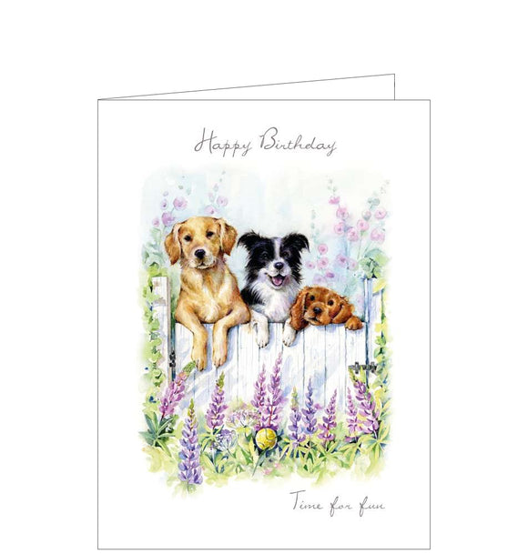 This birthday card shows a trio of dogs peering over a garden fence after a lost ball.