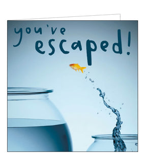 A goldfish jumps from a small bowl to a larger one on this new job card from Woodmansterne's Framed greetings card range. The text on the front of the card reads "you've escaped"