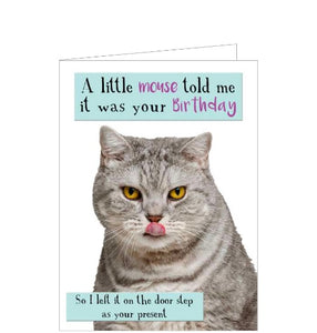This funny birthday card is decorated with a photograph of a grumpy grey cat licking its lips. The text on the front of the card reads "A little mouse told me it was your birthday...so I left it on your doorstep as a present".