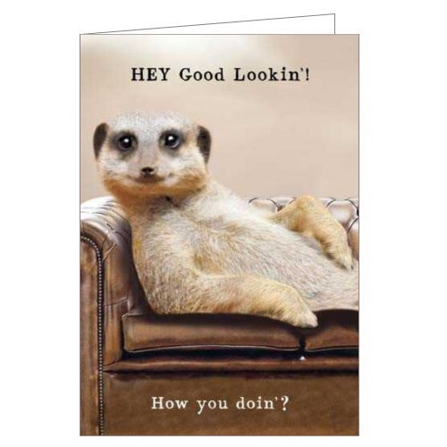 This funny greetings card features a photograph of a good looking meerkat reclining on a leather sofa. The caption on the front of the card reads 
