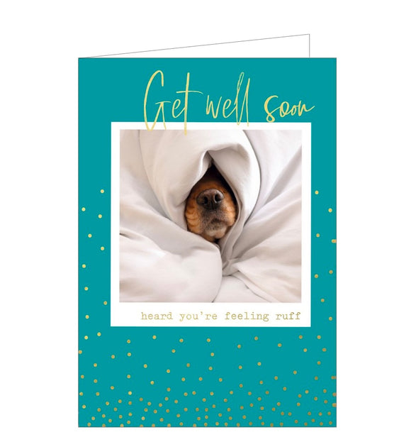 A really cute get well card for animal lovers. This get well soon card is decorated with a polaroid-style photograph of a dogs nose poking out from beneath a duvet. Gold text on the front of the card reads 