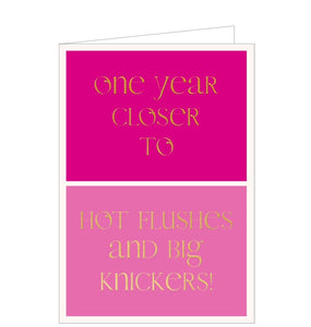 This contemporary and humourous birthday card is split into two complimentary pink boxes, overlaid with gold text that reads "One year closer to…hot flushes and big knickers!"