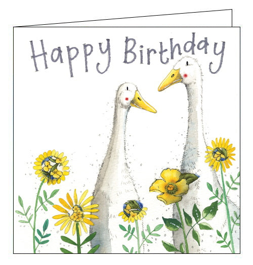 Birthday Ducks - Alex Clark cards