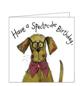 Have a Spectacular Birthday - Alex Clark cards