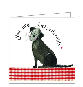 Labradorable - Alex Clark cards