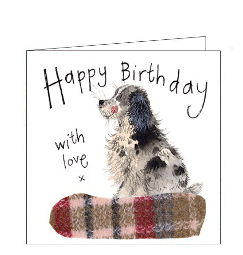 Spaniel Birthday card - Alex Clark cards