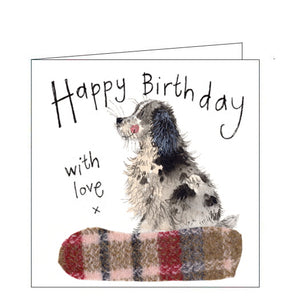 Spaniel Birthday card - Alex Clark cards