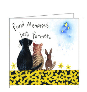 Part of Alex Clark's "Little Sparkle" greetings card collection, finished with a dusting of glitter. This lovely card is decorated with Alex Clark's illustration of a dog, cat and rabbit sitting together looking at the stars. Text on the front of the card reads "fond memories last forever x".