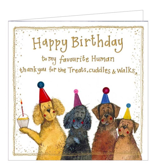 One of Alex Clark's Sunshine greetings card collection this birthday card - from the dog - is decorated with four dogs, of varying sizes, dressed in party hats waiting for a piece of cake. Gold text on the front of the Birthday card reads 