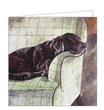 Alex Clark Alice's buddy the black lab labrador countryside farming Nickery Nook