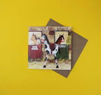 Alex Clark Alice's stable horses ponies countryside farming Nickery Nook