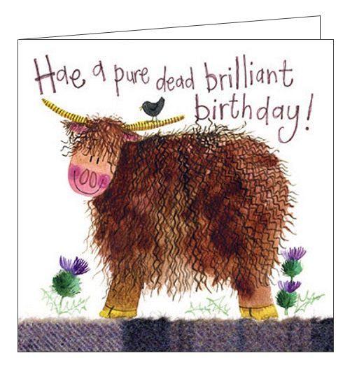 Alex Clark Happy Birthday Scottish Highland Cow Hae a Pure Dead Brilliant Birthday for him Nickery Nook