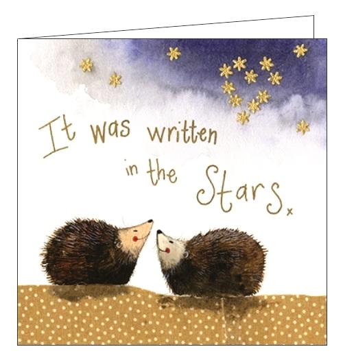 Alex Clark autumn cosy nighttime hedgehogs stargazing stars love blank card Nickery Nook new