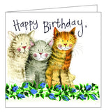Alex Clark for her Happy Birthday trio of cats cute Happy Birthday card Nickery Nook