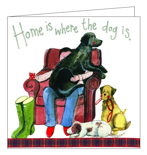 Alex Clark for him cat cats card home is where the dog is blank card Nickery Nook