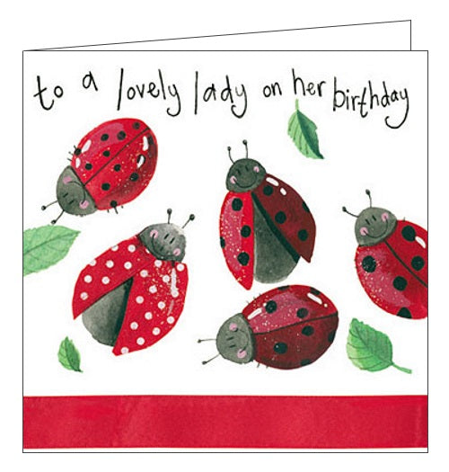 Alex Clark to a lovely lady on her Birthday ladybirds cute for her Happy Birthday card Nickery Nook