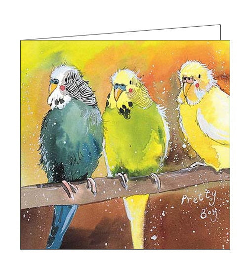 Budgies - Alex Clark Blank Card