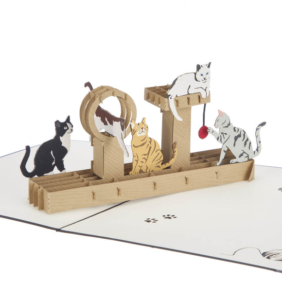 Playful Cats - 3d pop up card