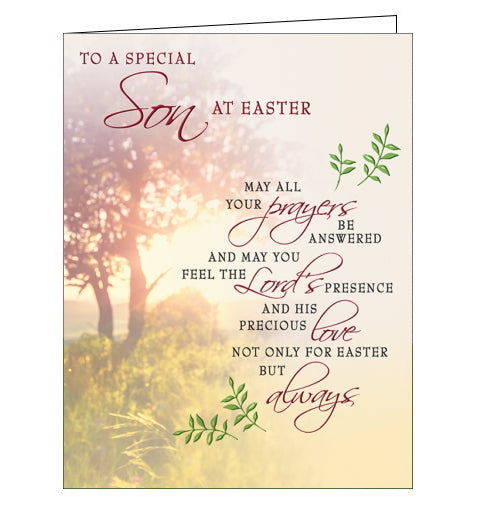 To a special Son - Easter card