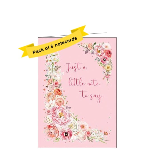 This pack of 6 notelets is decorated with pink text that reads  
