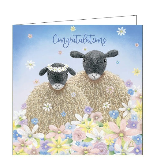 This card features detail from an original pastel drawing by Lucy Pittaway showing two sheep ready for a special day: a wedding or a renewal of vows perhaps - one sheep even has a floral crown!