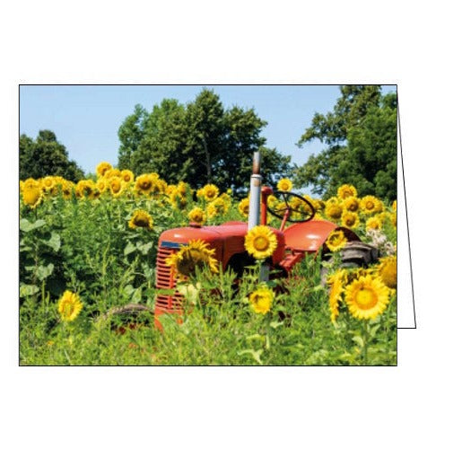 This birthday is decorated with a photograph of a vintage red tractor in a field full of sunflowers.