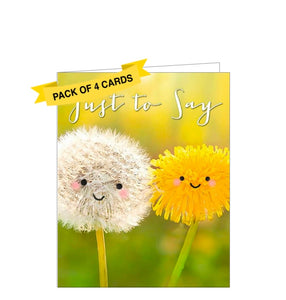 Each of these four notelets are decorated with a photograph of two dandelion flowers in a sunny field - each flower has a smiley face drawn on. The text on the front of these cards reads "Just to Say".