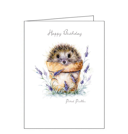 Noel Tatt pawfolio hedgehog birthday card