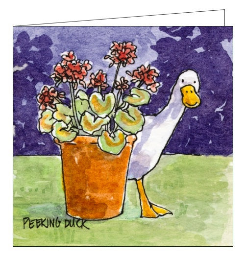 This blank greetings card features detail from an artwork by Avie Barber showing a duck peeking out from behind a potted plant.
