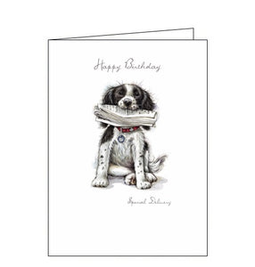 Noel Tatt Happy Birthday card special delivery Ruth Williamson dogs Nickery Nook