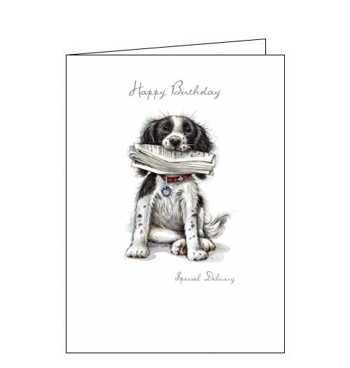Noel Tatt Happy Birthday card special delivery Ruth Williamson dogs Nickery Nook