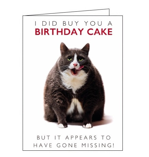 Noel Tatt Picture This fat cat birthday card Nickery Nook