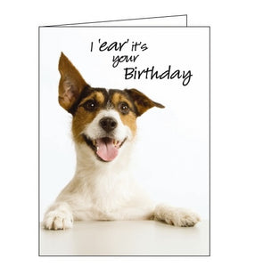 Noel Tatt Picture dogs terrier This i ear its your birthday card Nickery Nook