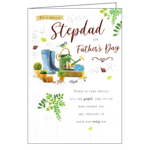 To a Special Stepdad - Father's Day card