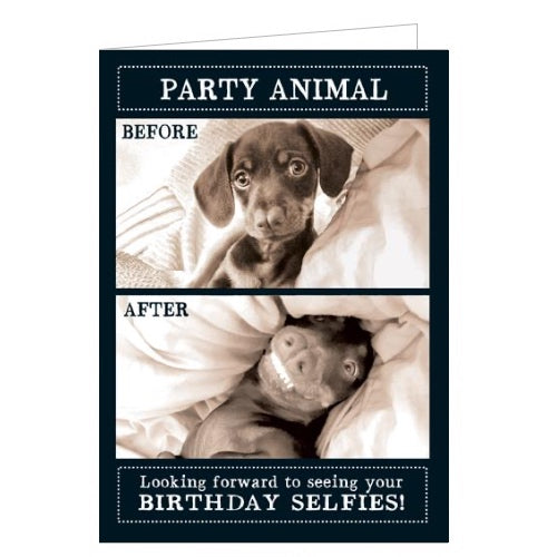 This funny birthday card is decorated with two cute selfie-style photographs of a dachshund dog - one glamourous, posed shot, and one more candid. The caption on the front of the card reads 